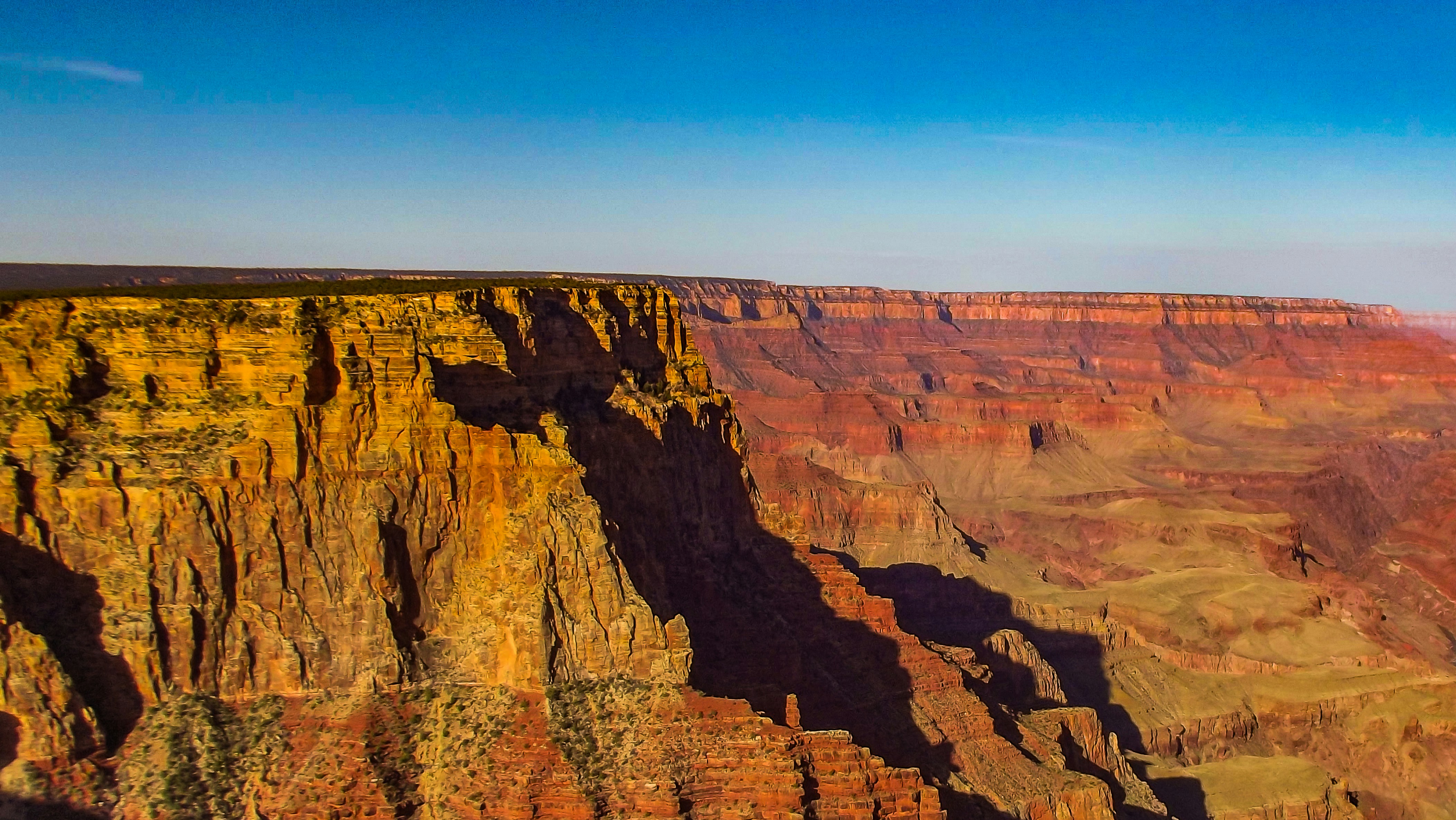 Photo by remarketable