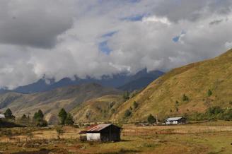 Rustic rural property surrounded by native trees and rolling hills under a soft sky.