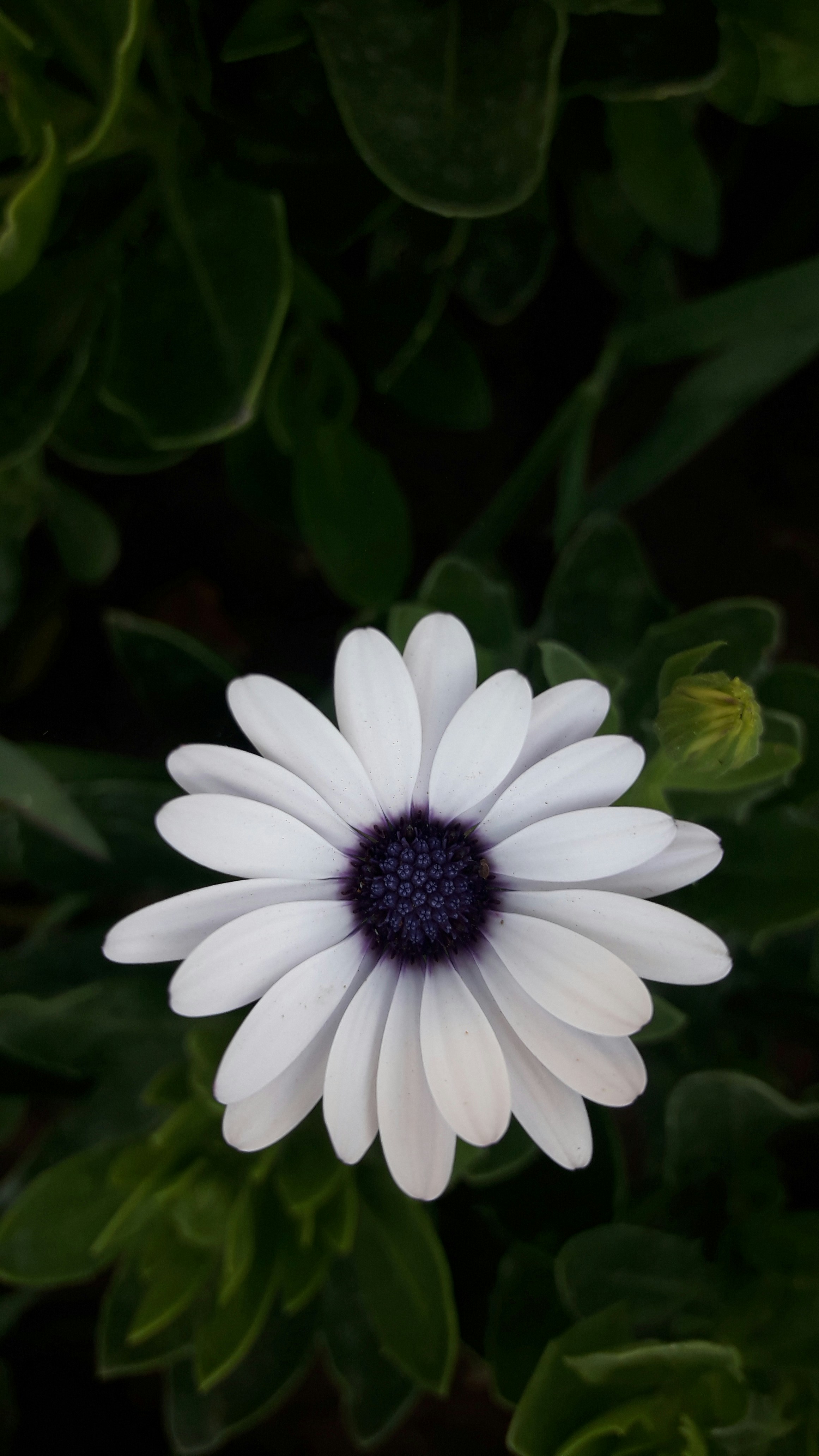 Photo by mohammad_soleimanikia