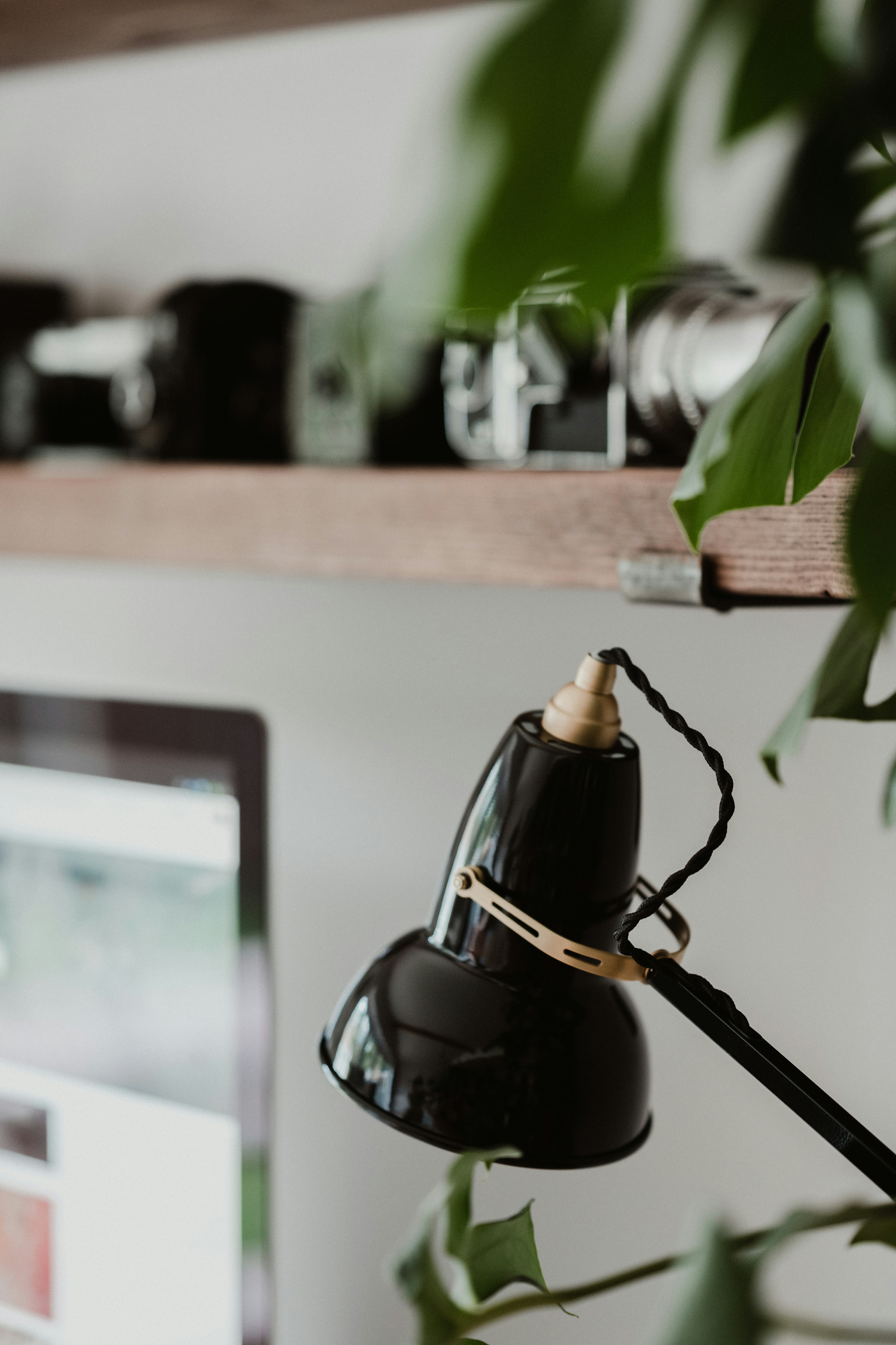 Photo by anniespratt