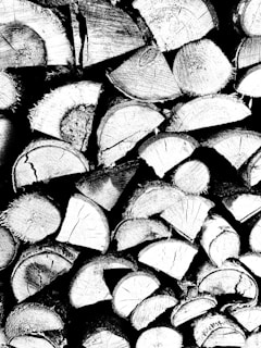 A stack of cut log sections arranged in a pattern, highlighting the natural texture and grain of the wood. The monochrome effect emphasizes the contrast between the light and dark areas of the logs, showcasing the intricate details of the tree rings and bark.