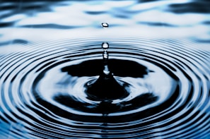 water drop on body of water