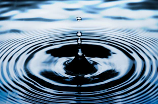 water drop on body of water