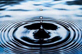 water drop on body of water