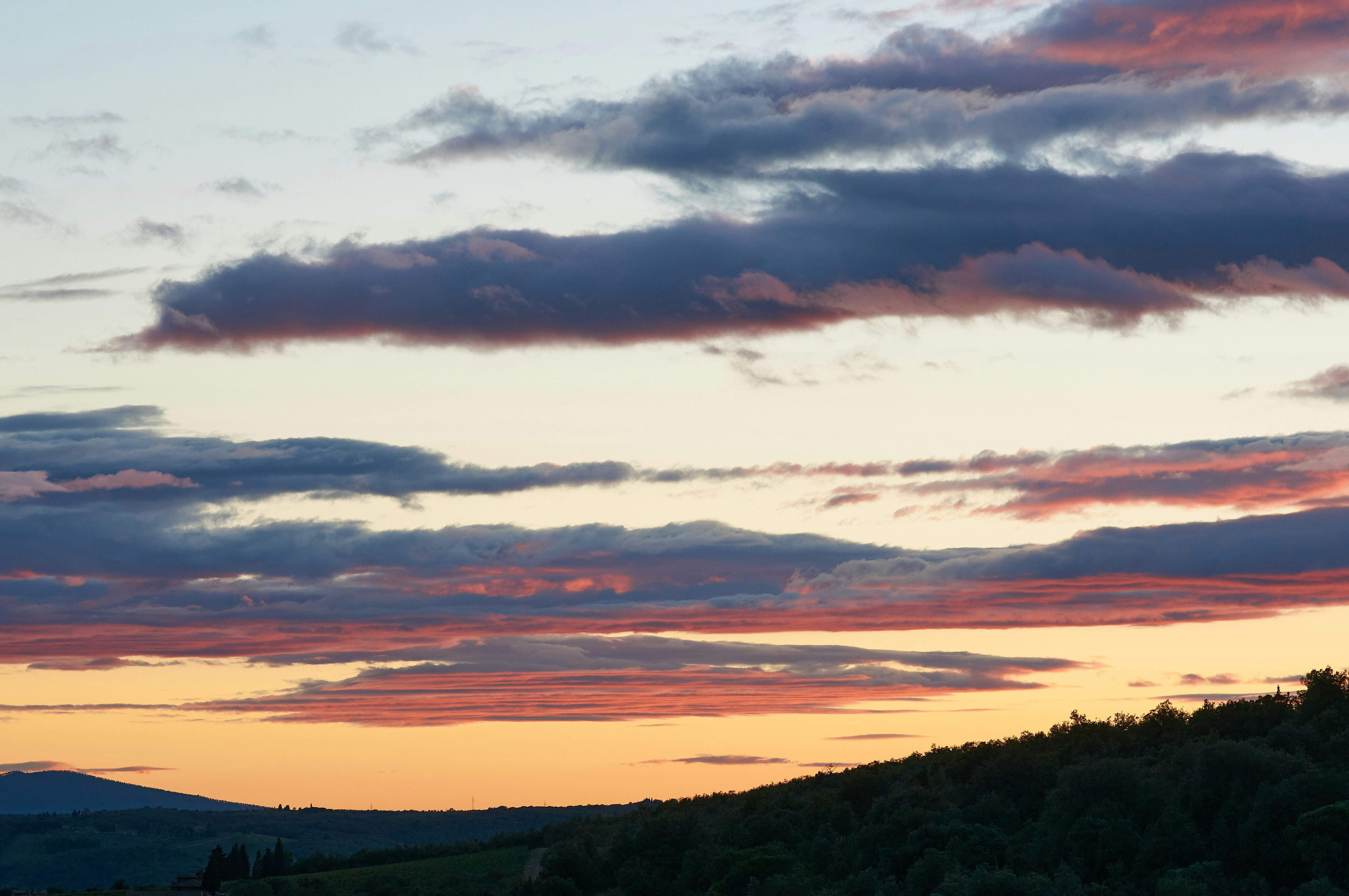 Photo by wolfgang_hasselmann