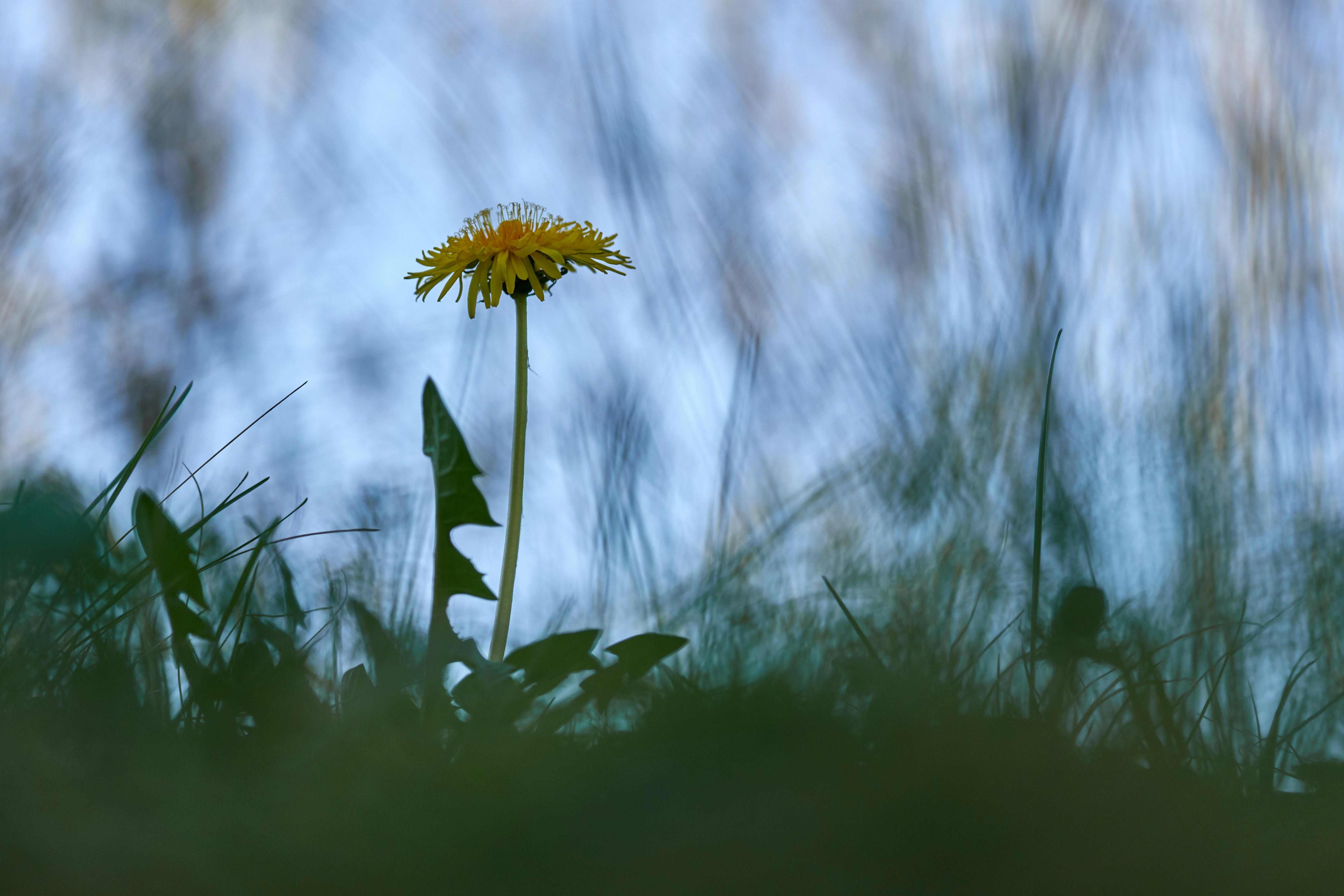 Photo by wolfgang_hasselmann