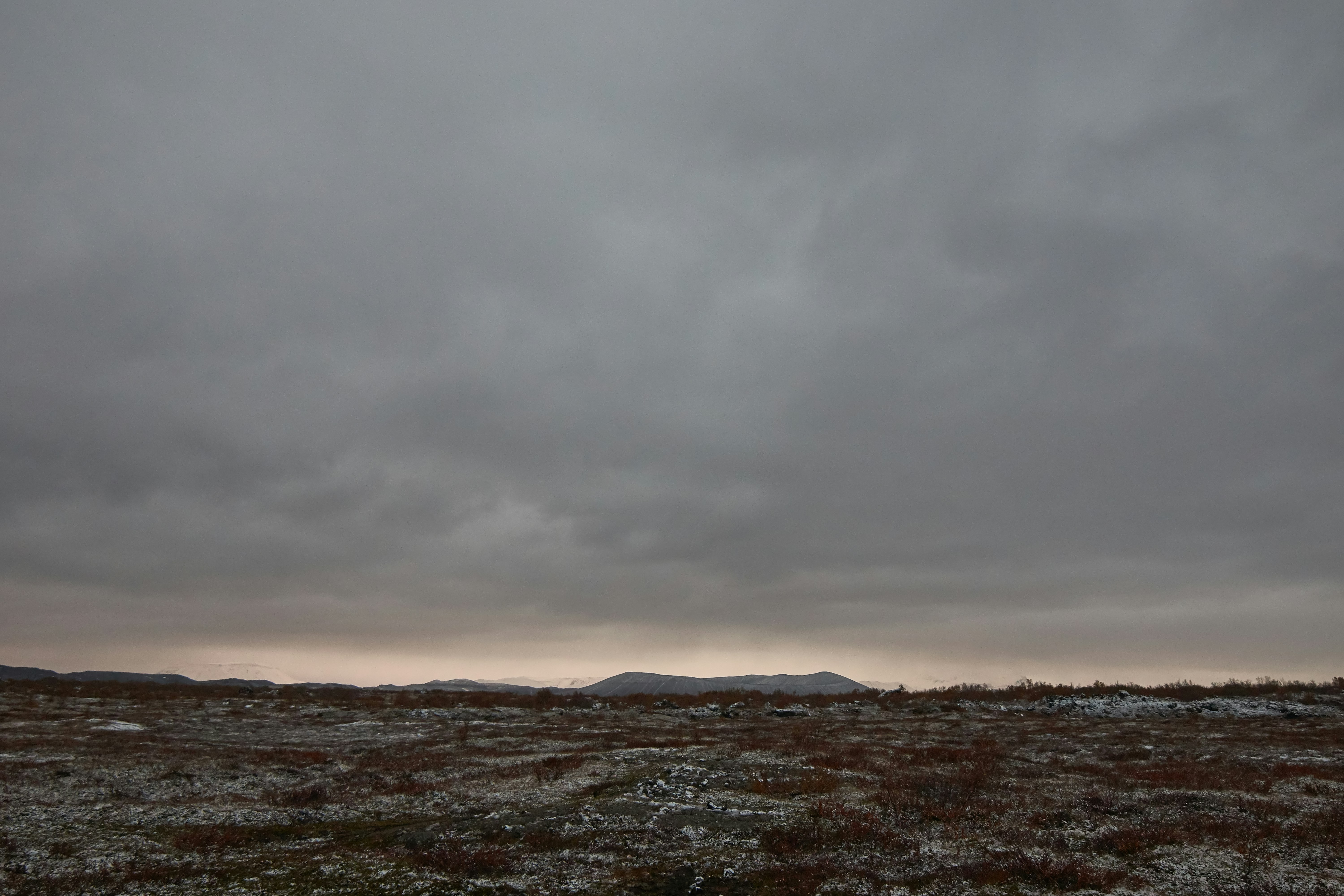 Photo by wolfgang_hasselmann