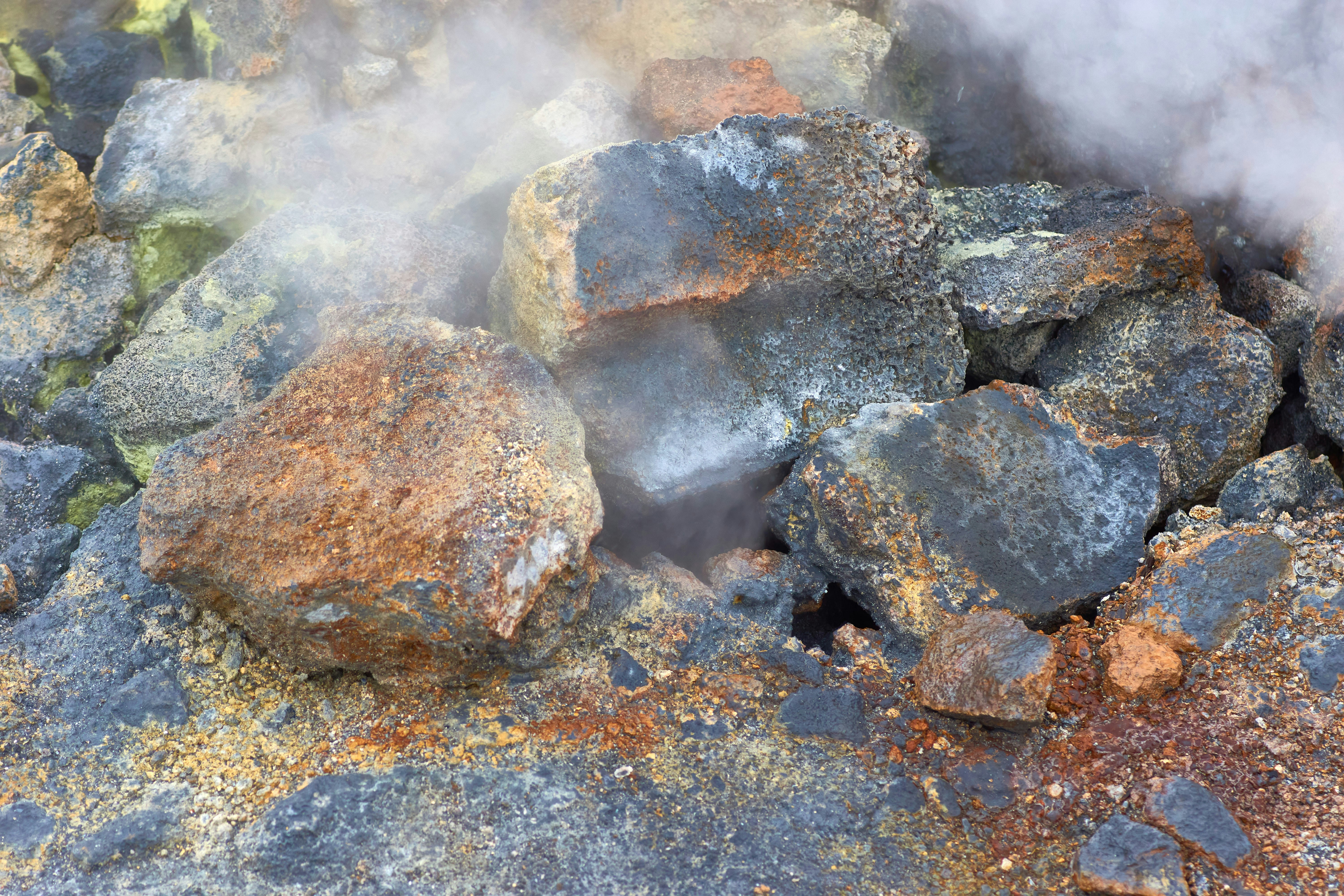 Photo by wolfgang_hasselmann