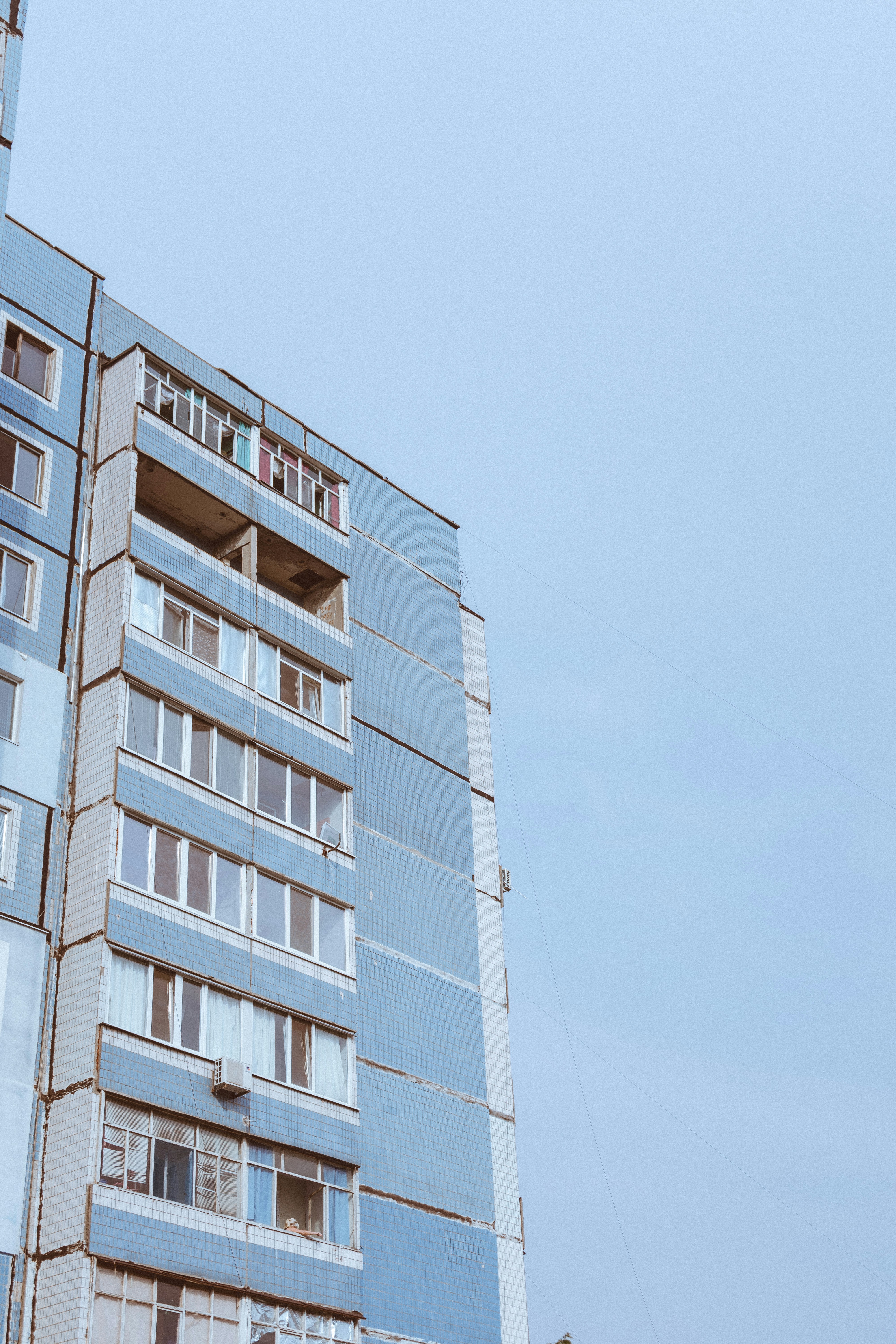 Photo by virussinside