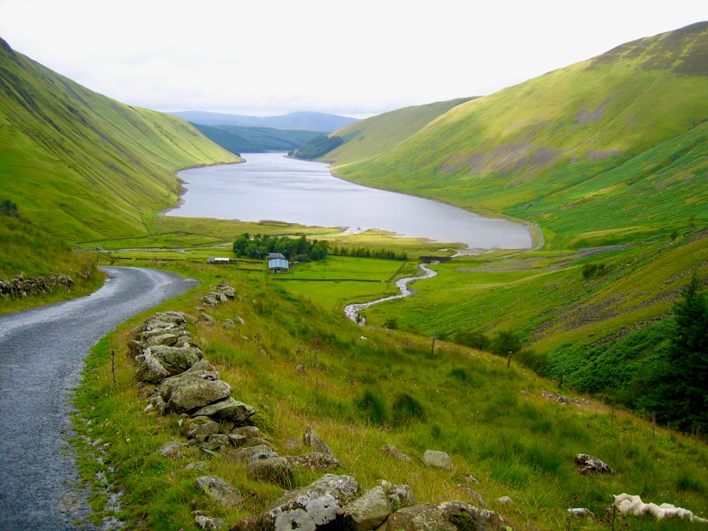 green grass field and river