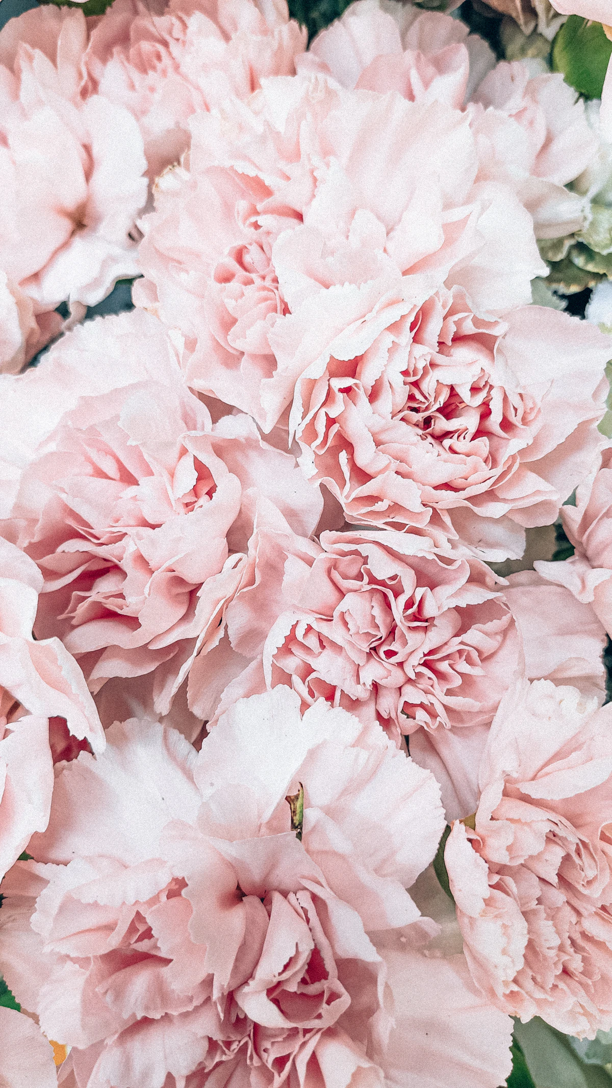 Bridgerton · pink and lavender garden bouquet