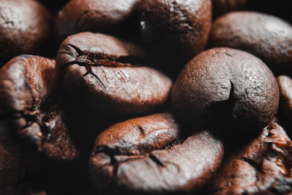 brown coffee beans in close up photography