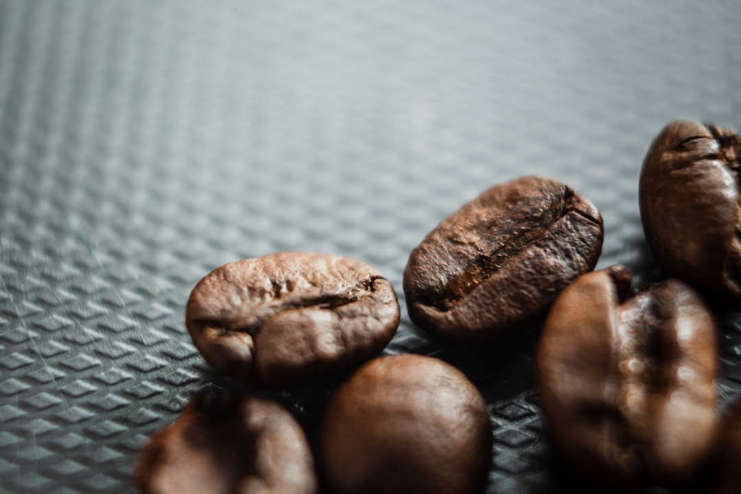 brown coffee beans on gray textile