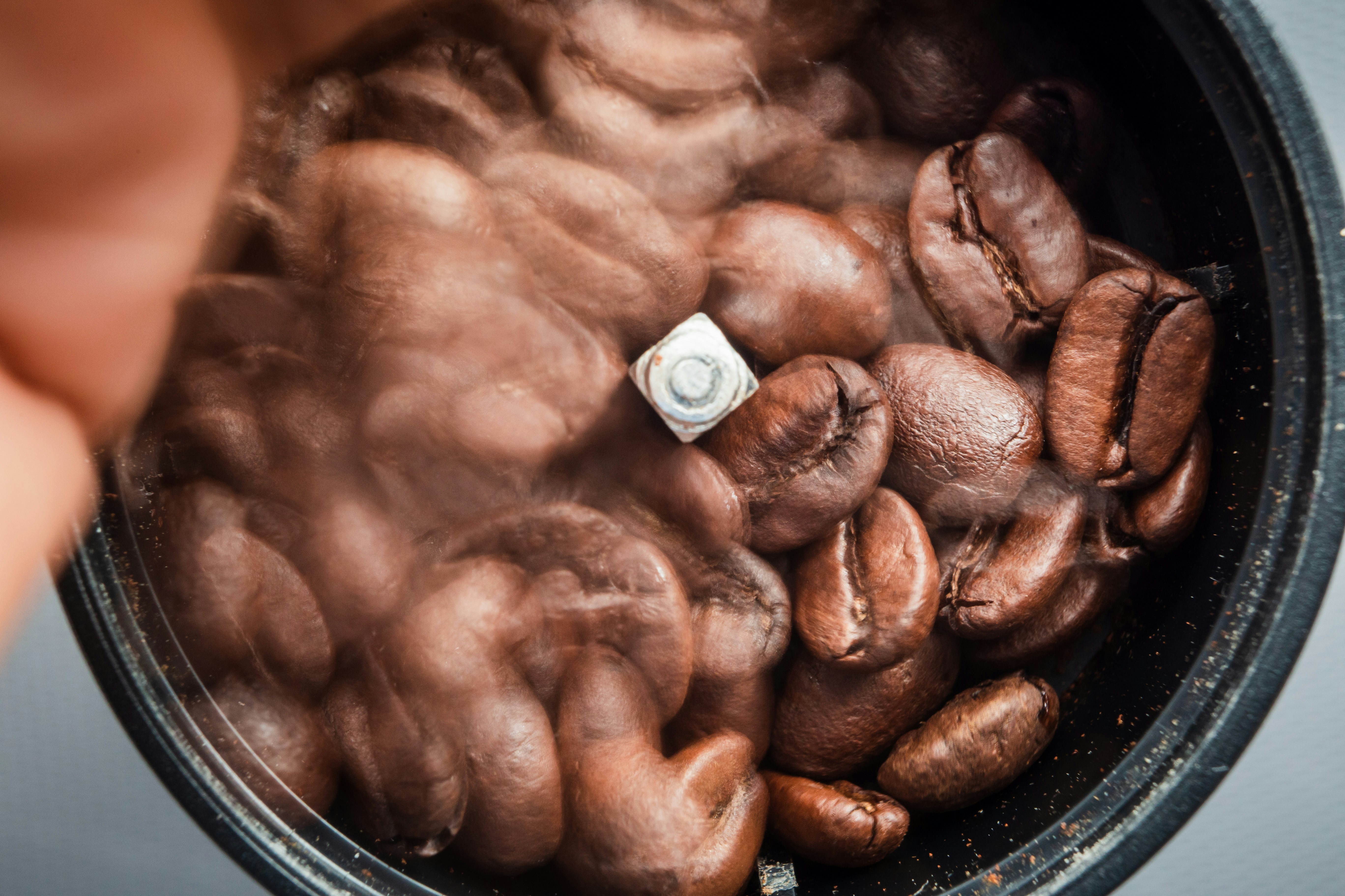 brown coffee beans in stainless steel bowl
