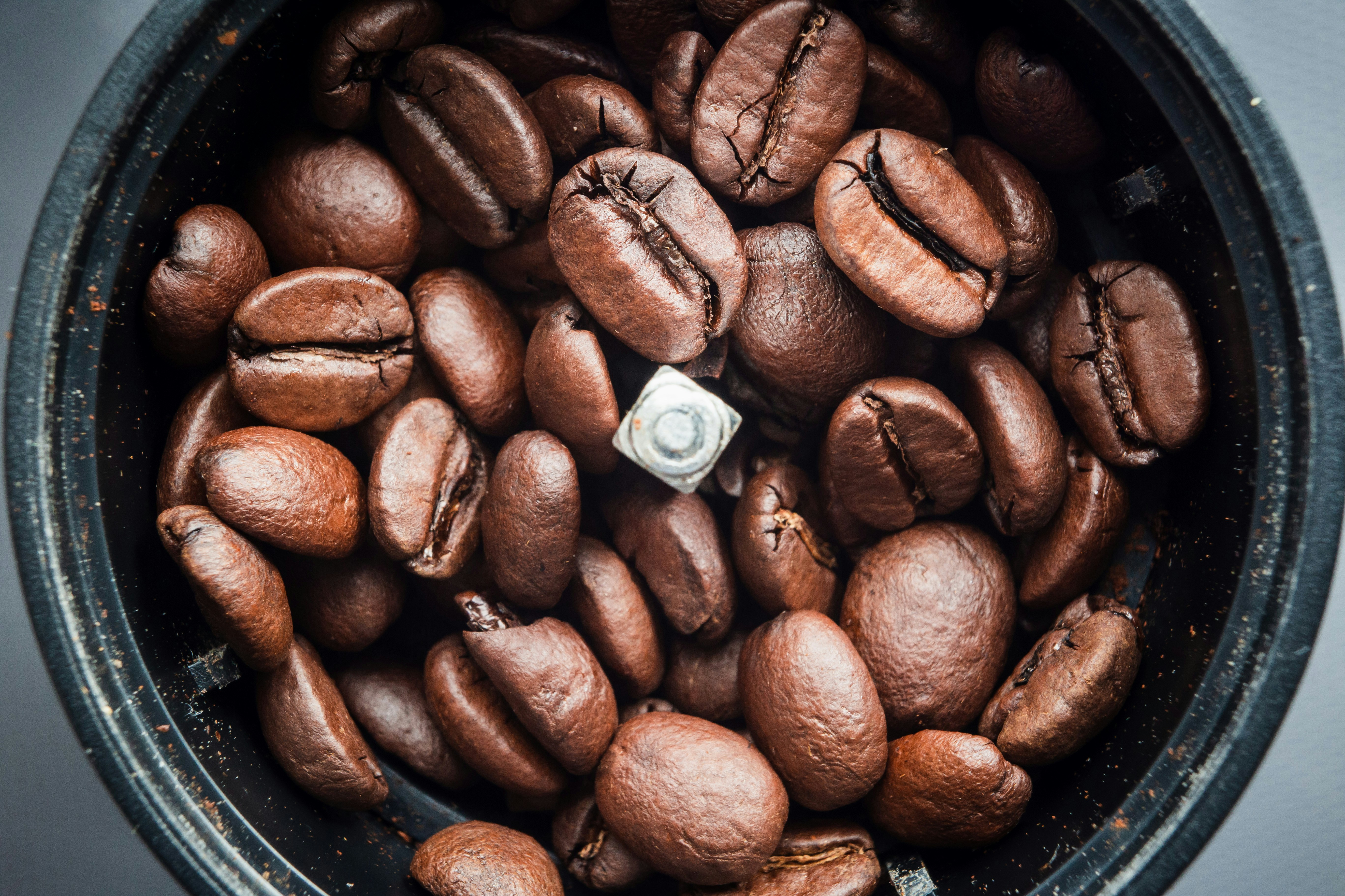 Photo by louishansel