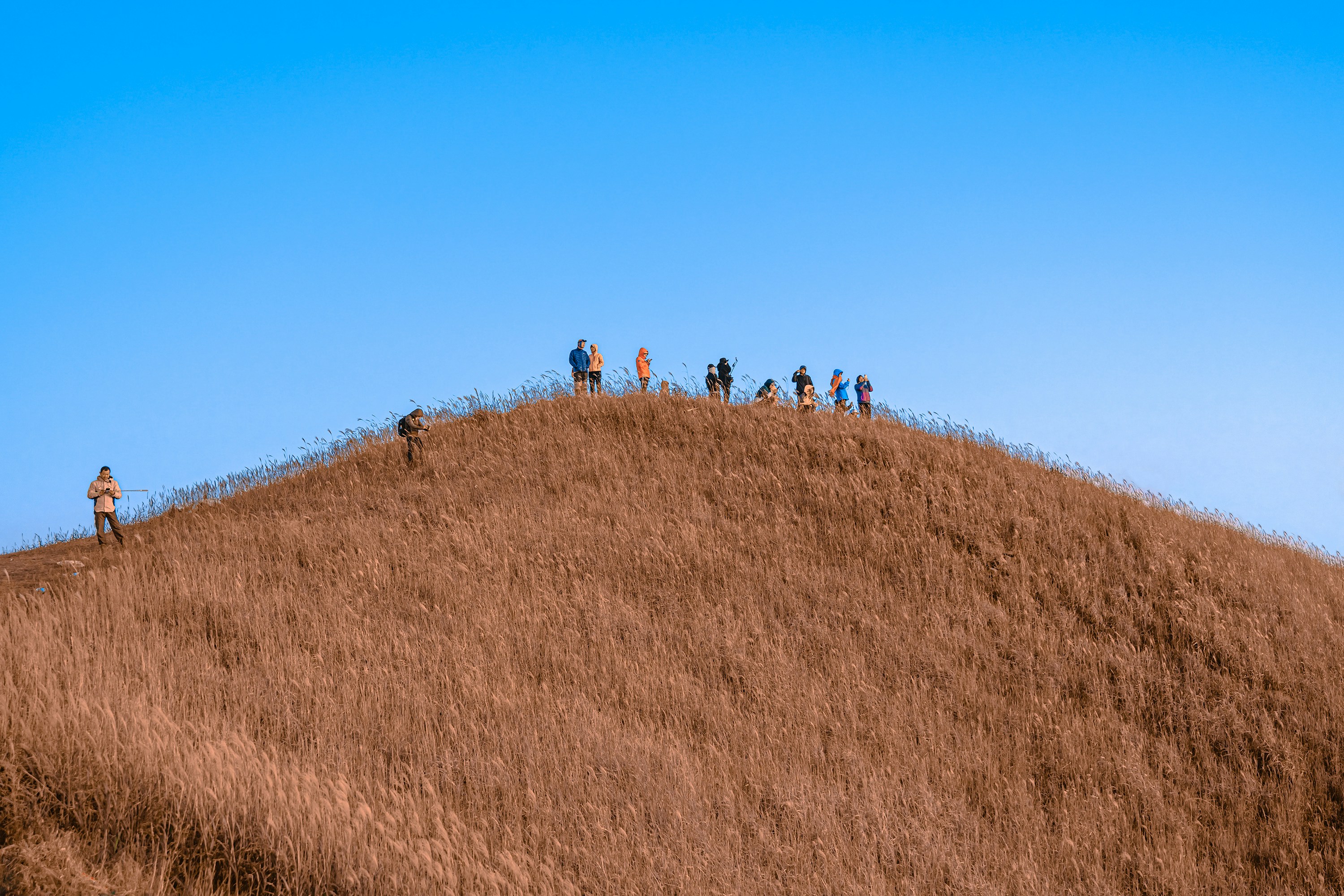 people walking on brown grass field under blue sky during daytime