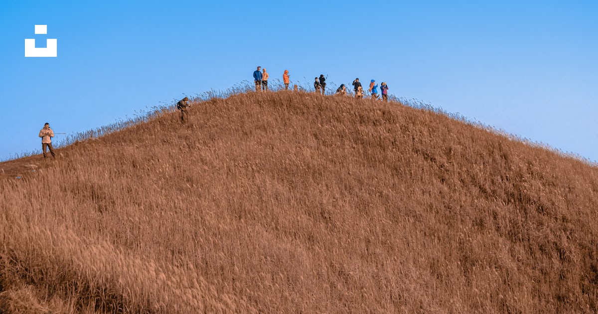 Foto zum Thema Menschen, die tagsüber auf einem braunen grasfeld unter ...