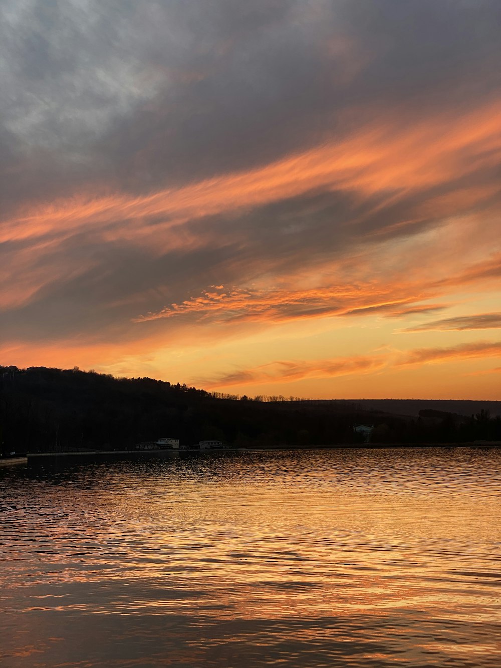 silhouette of trees near body of water during sunset