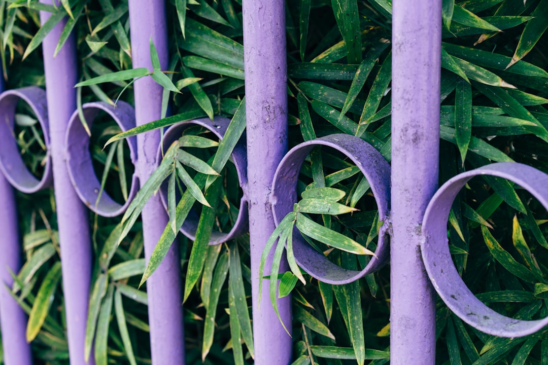 green plant on white steel fence