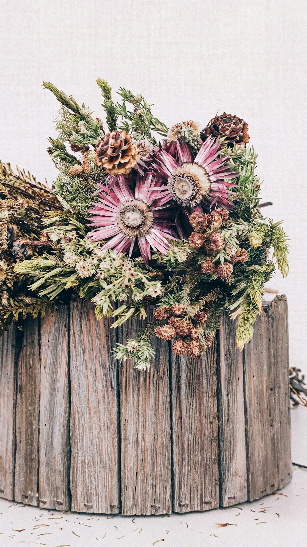 green and purple plant on brown wooden surface