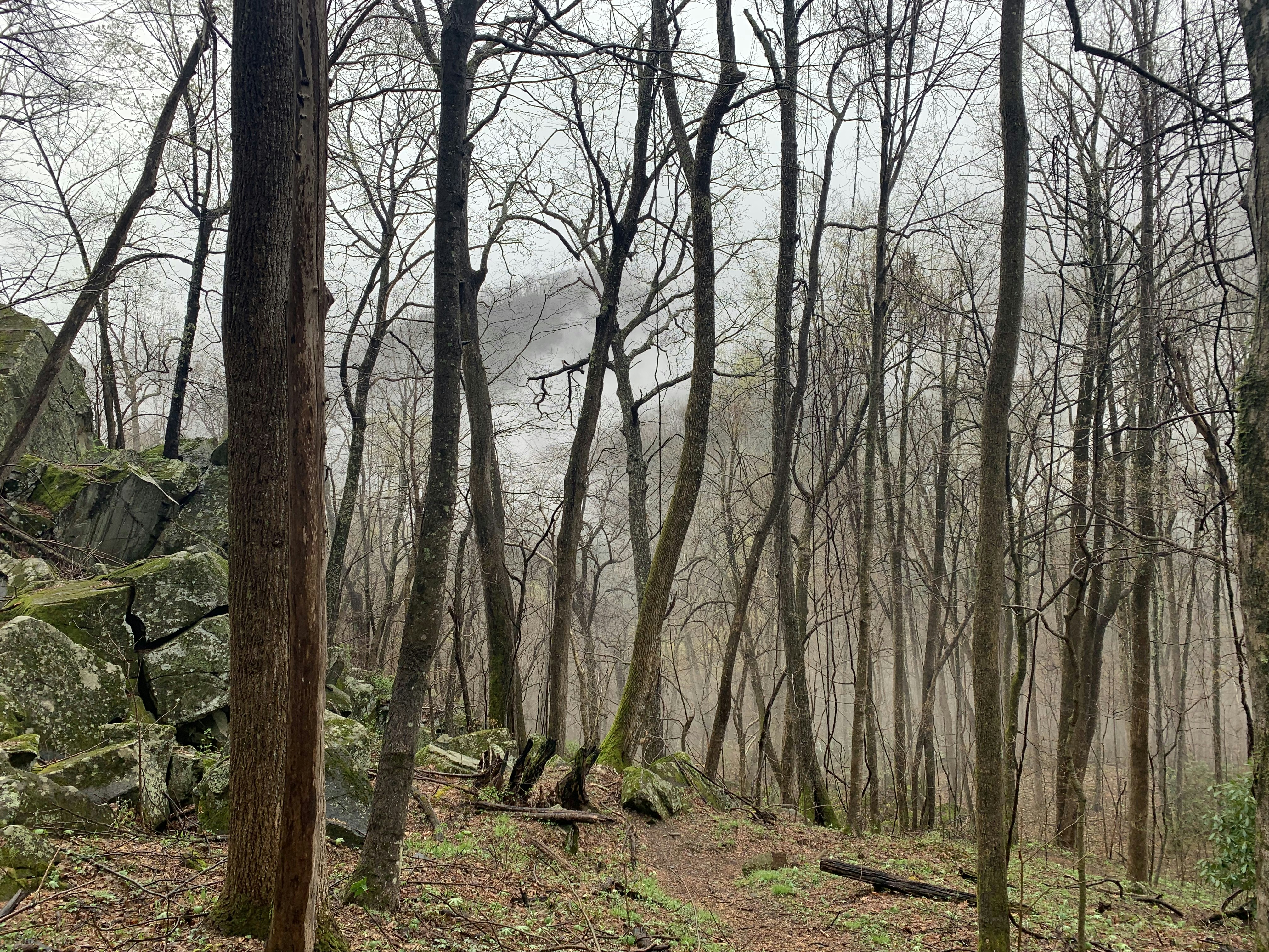 Photo by laitonbarbo