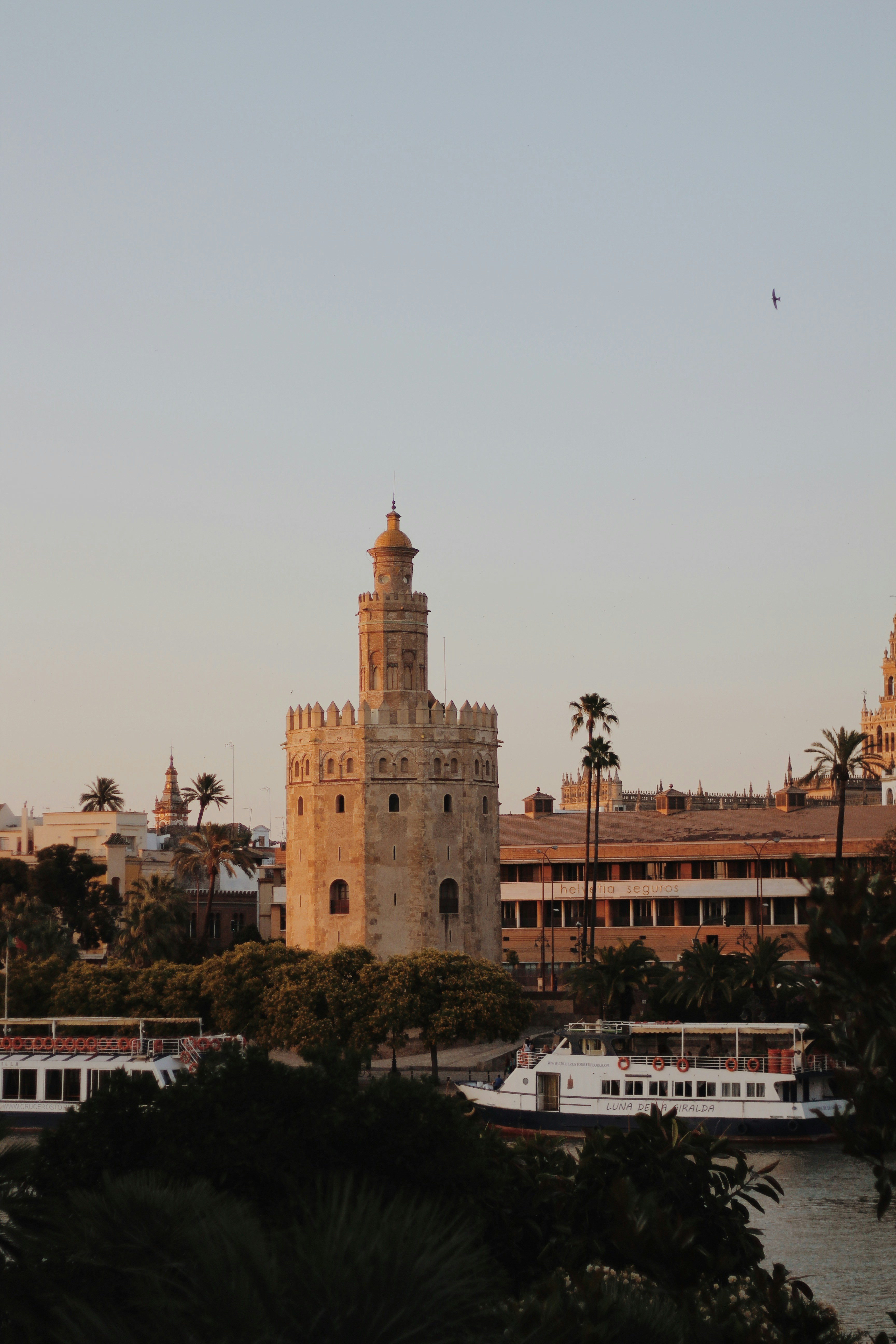 Photo by davidalvarez_16