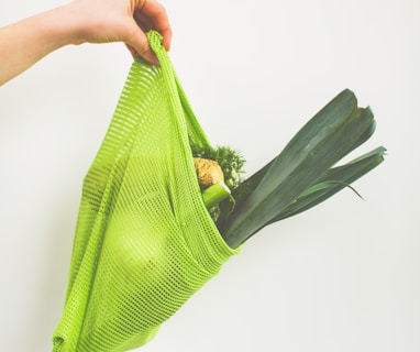 person holding green leaf vegetable