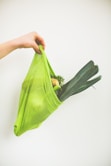 person holding green leaf vegetable