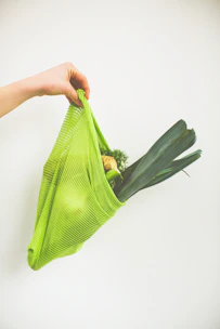 person holding green leaf vegetable