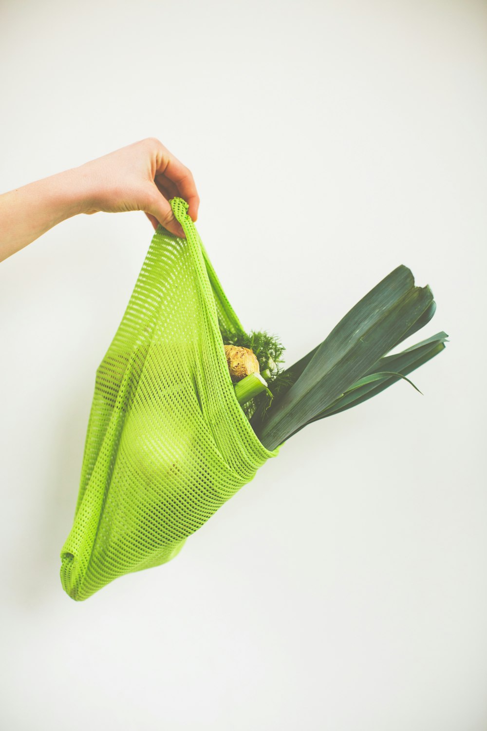 person holding green leaf vegetable