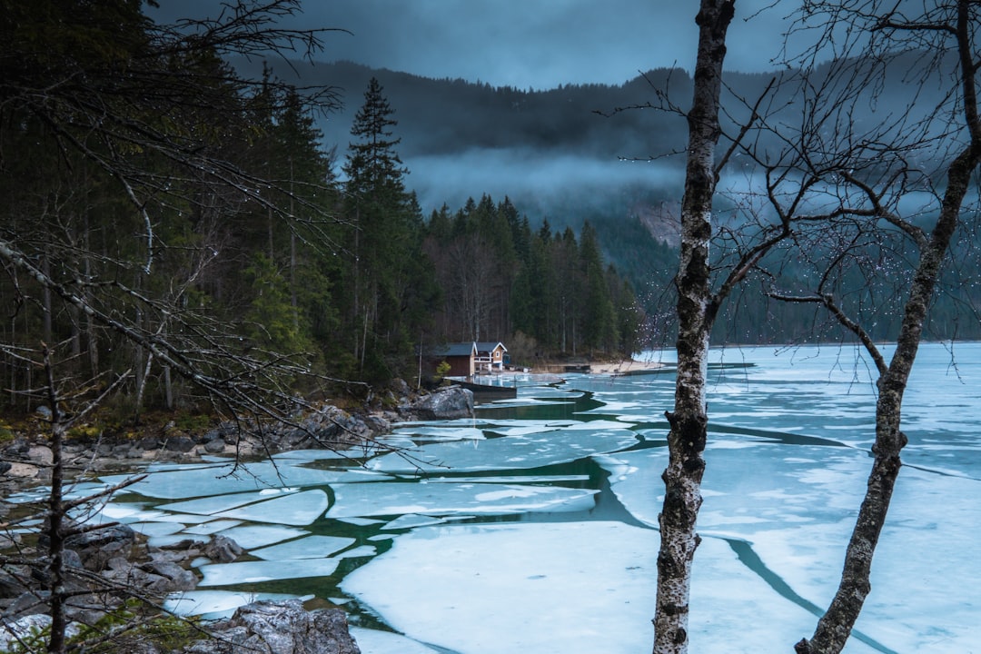 Nature reserve photo spot Eibsee Krün