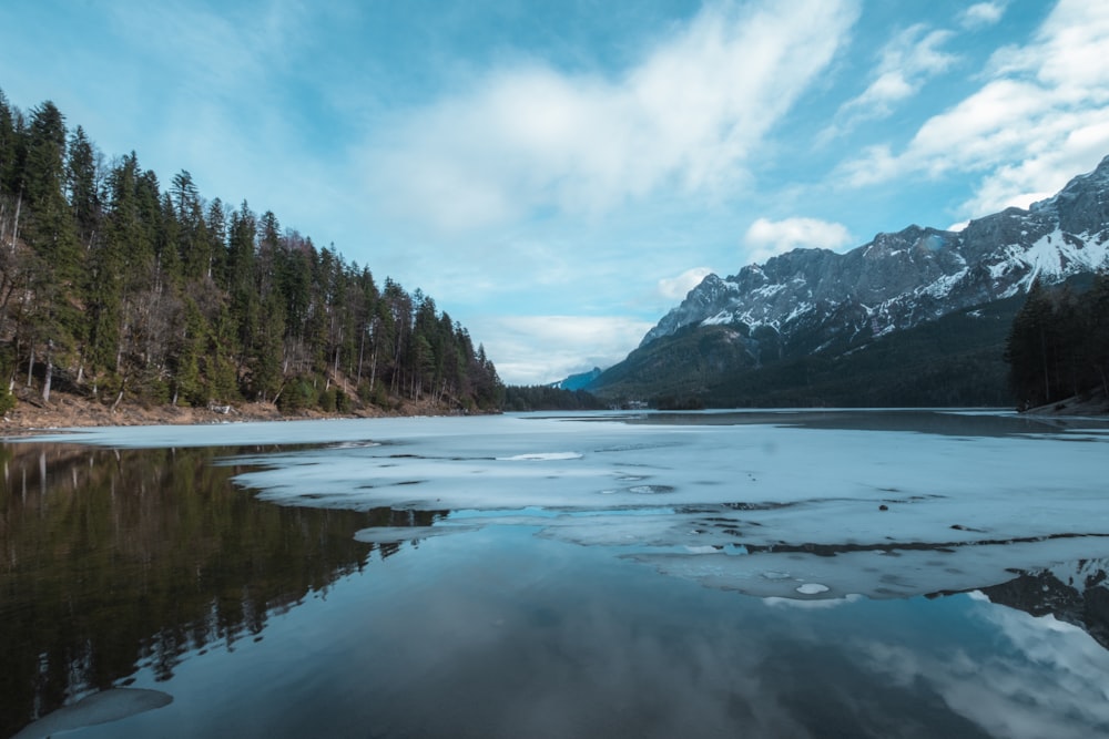 green trees near lake under white clouds and blue sky during daytime