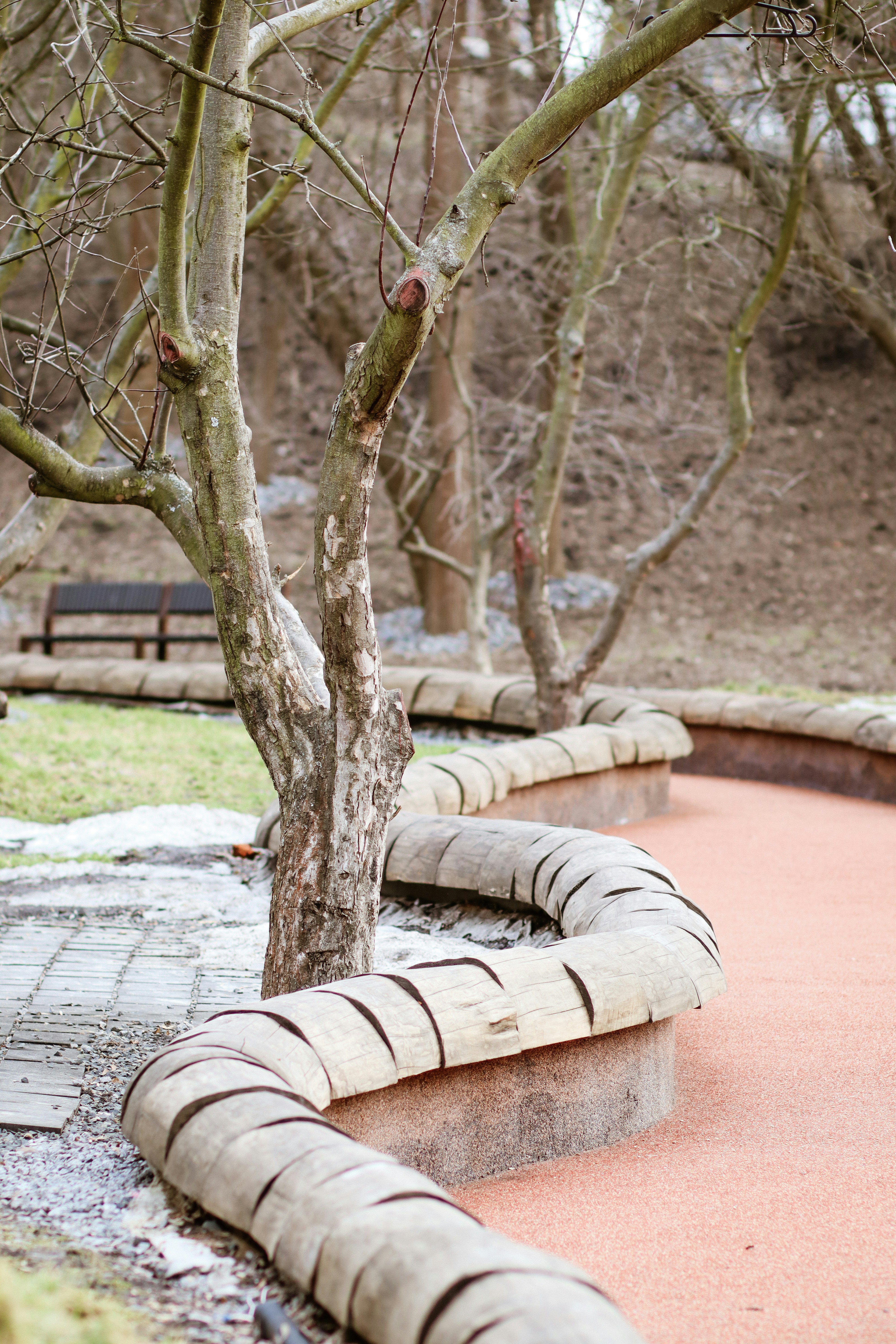 茶色のコンクリートの床に茶色の木の幹の写真 Unsplashで見つけるグレーの無料写真