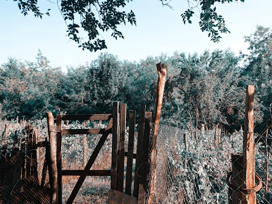 brown wooden fence near trees during daytime in Dolj Romania