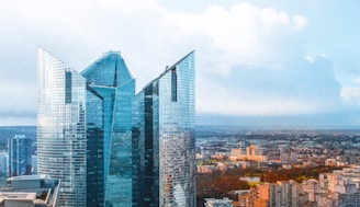 a view of some very tall buildings in a big city