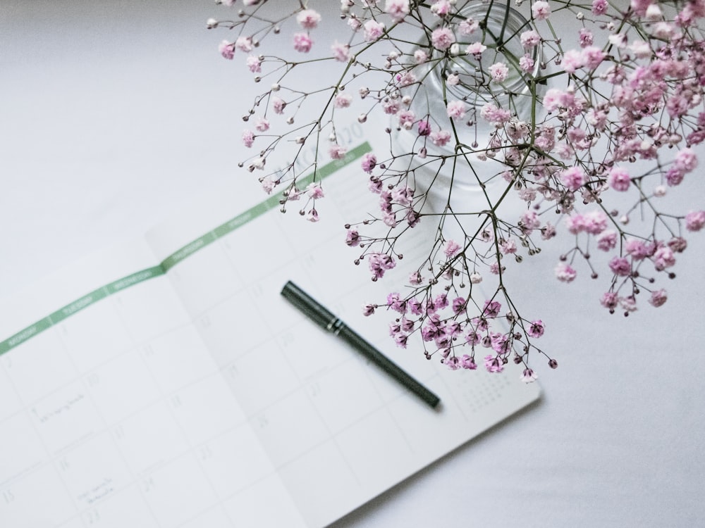 pink flowers on white paper