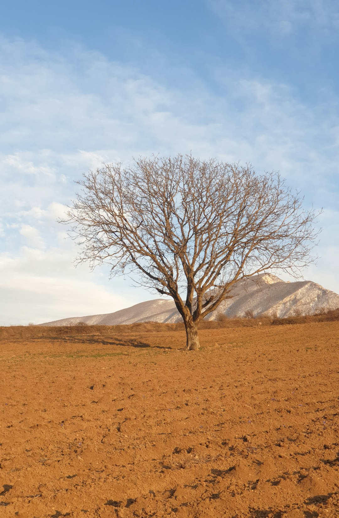 Travel Tips and Stories of Gonbad Kavus in Iran