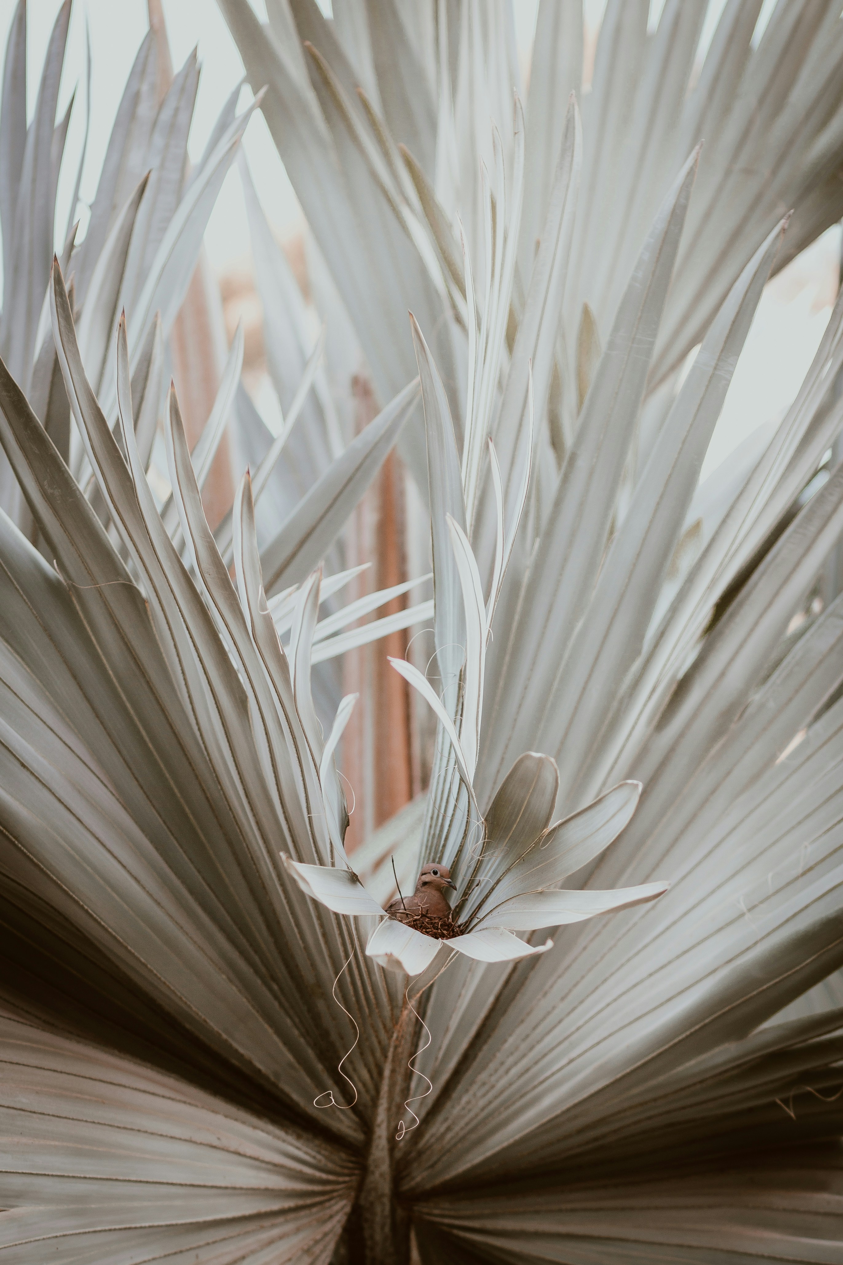 Photo by marcosprado