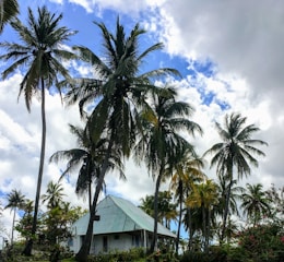 A tropical-style house with a newly installed roof under a clear blue sky surrounded by palm trees.