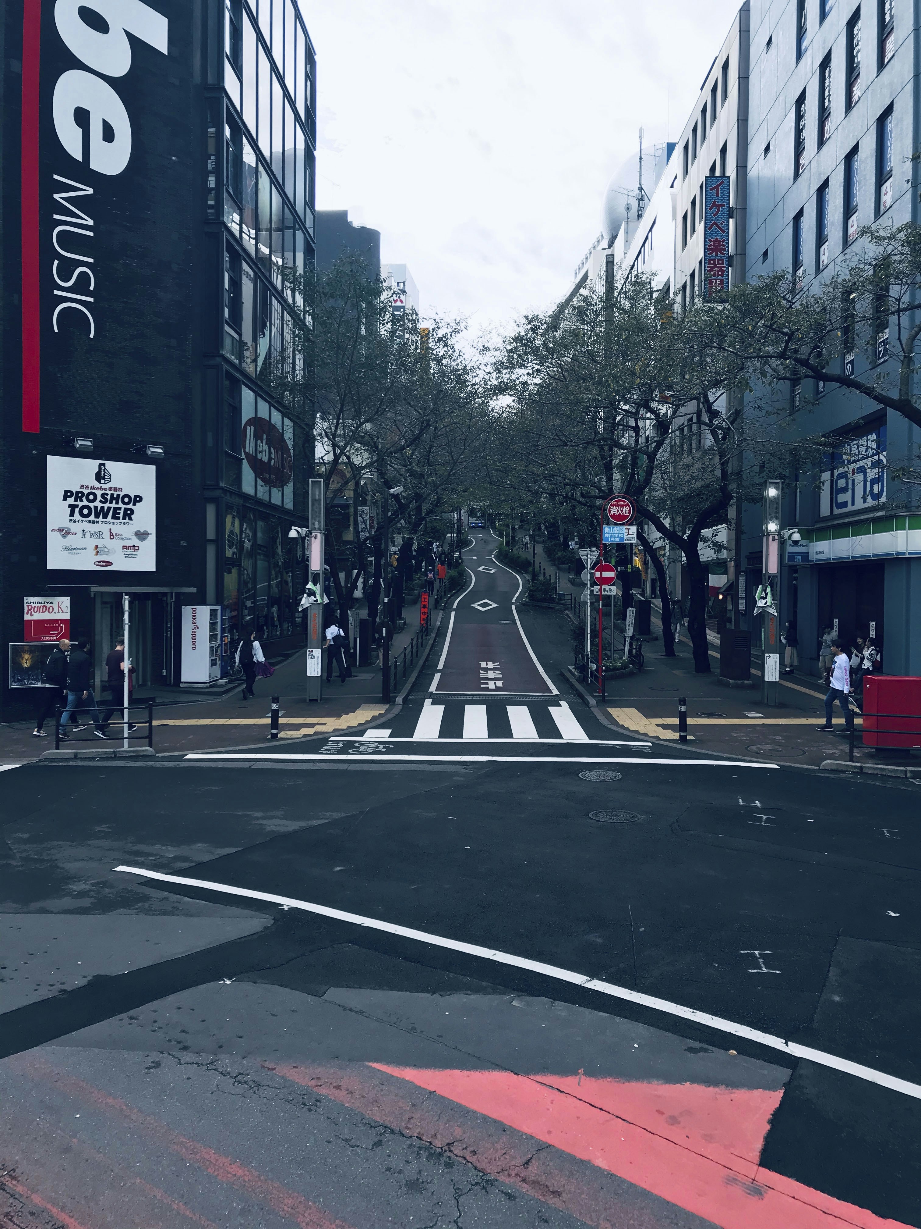 Narrow Road Pictures | Download Free Images on Unsplash