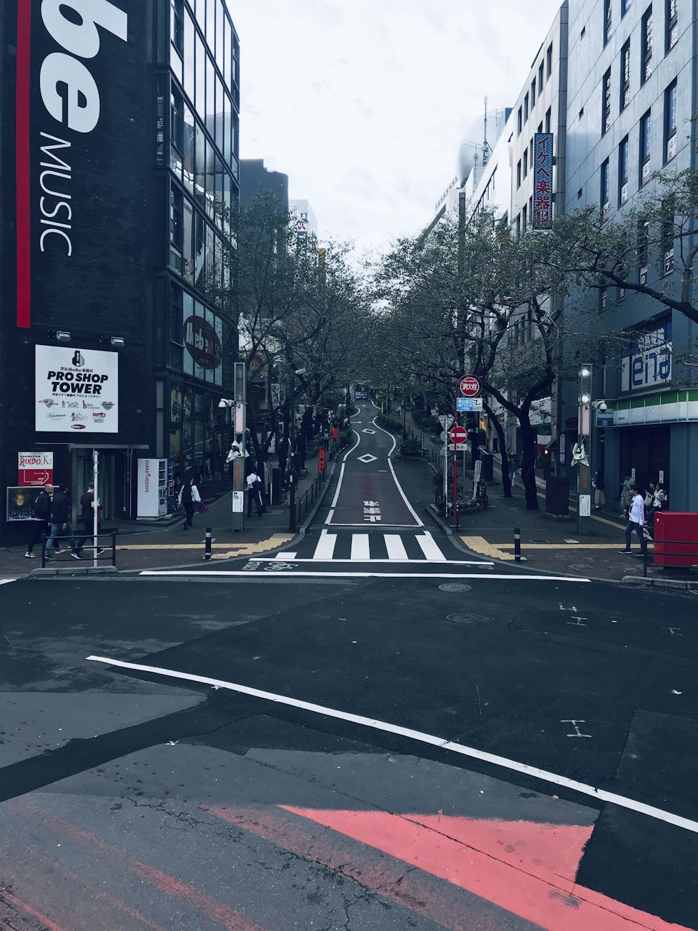 people walking on pedestrian lane during daytime