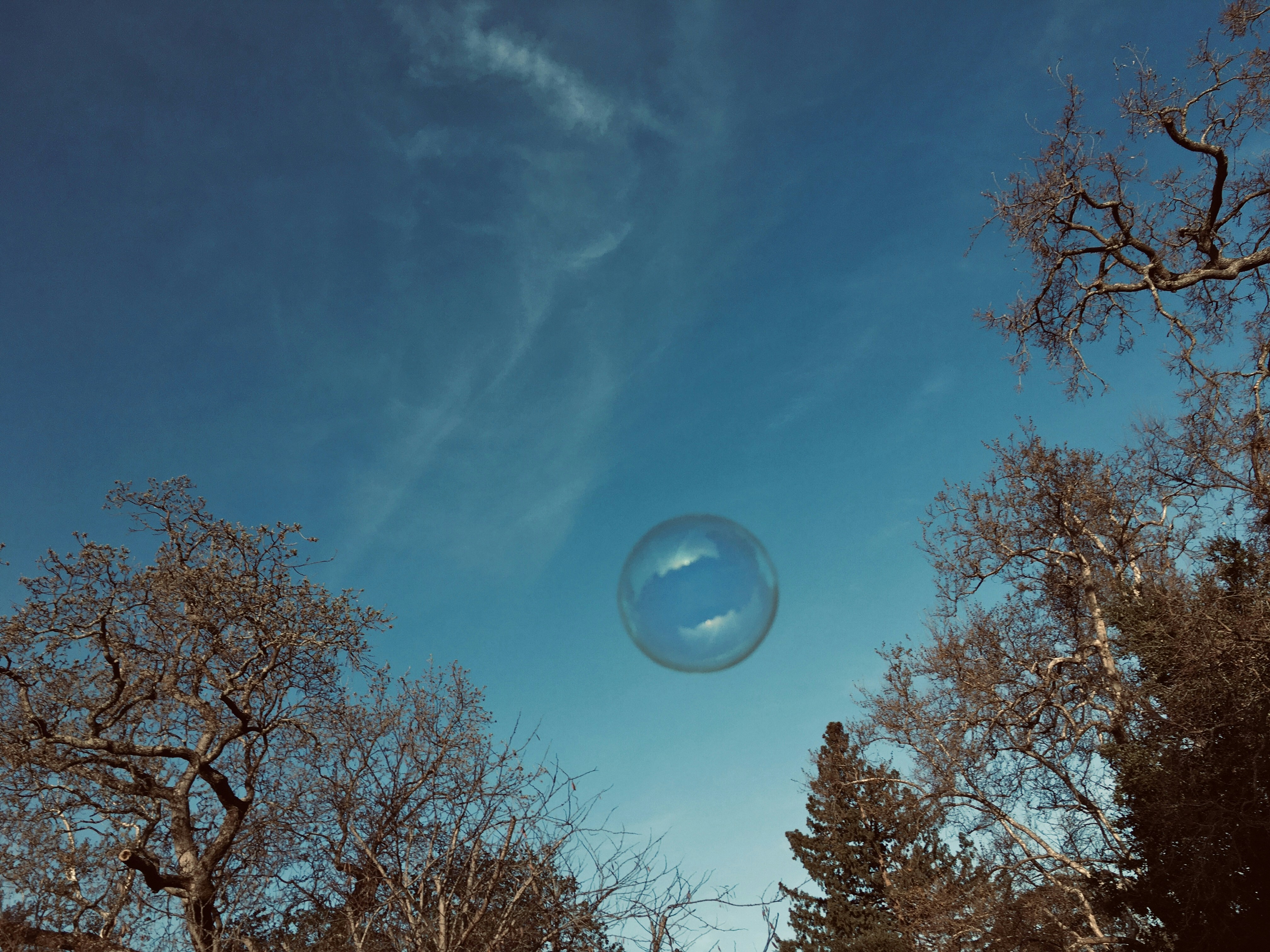 floating bubble silence