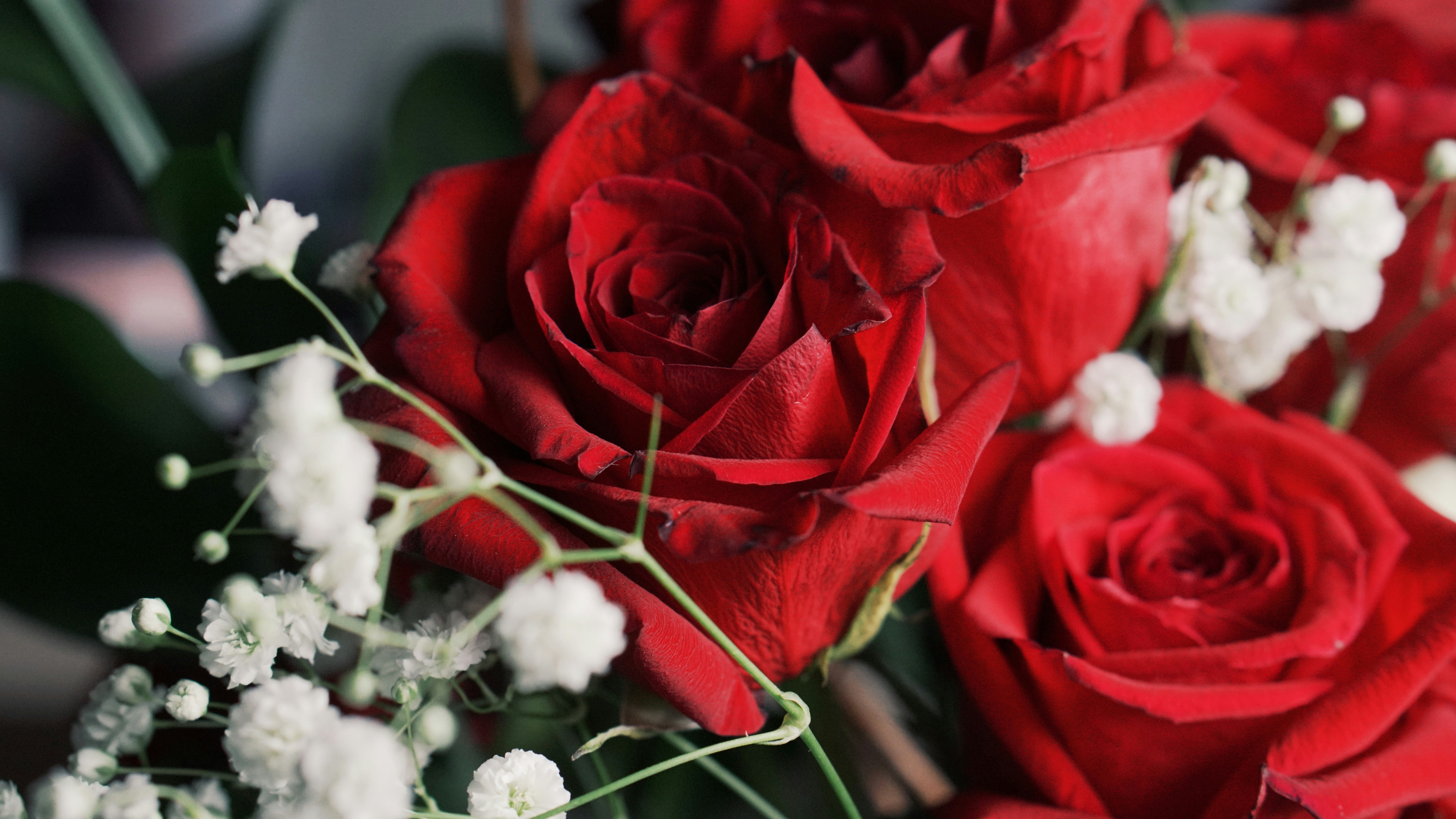 Photo by eternalseconds