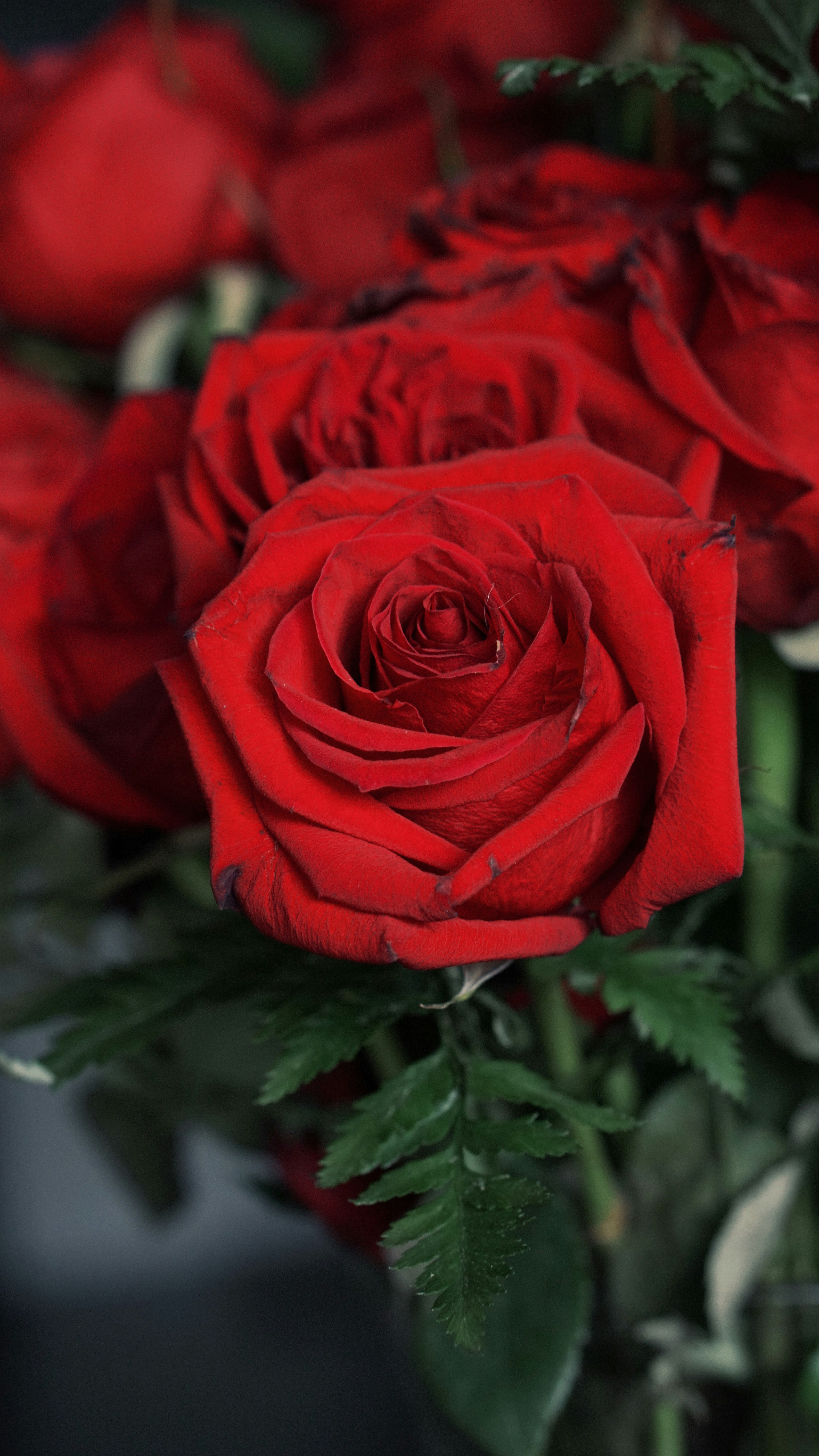 Photo by eternalseconds