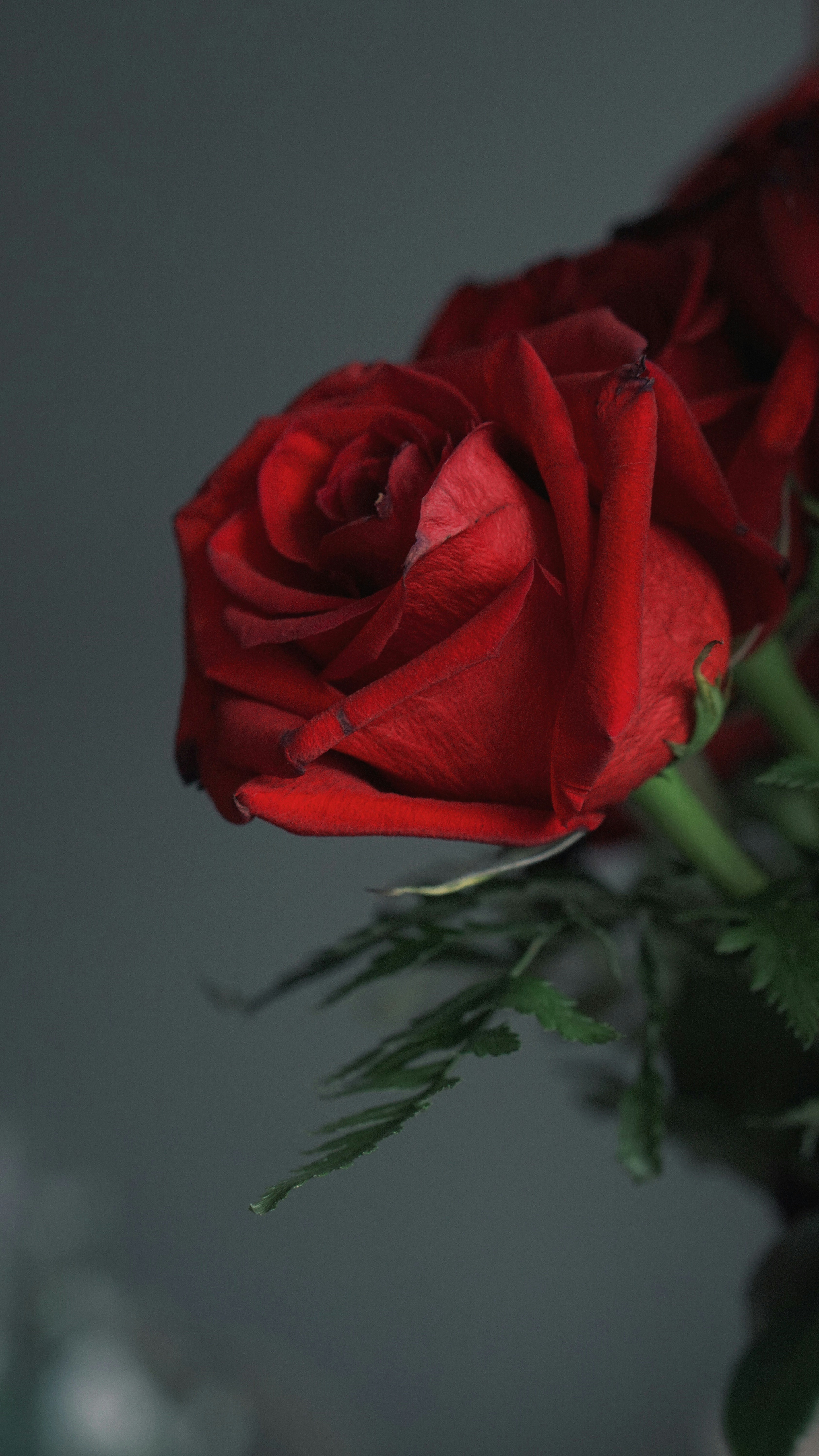 Photo by eternalseconds