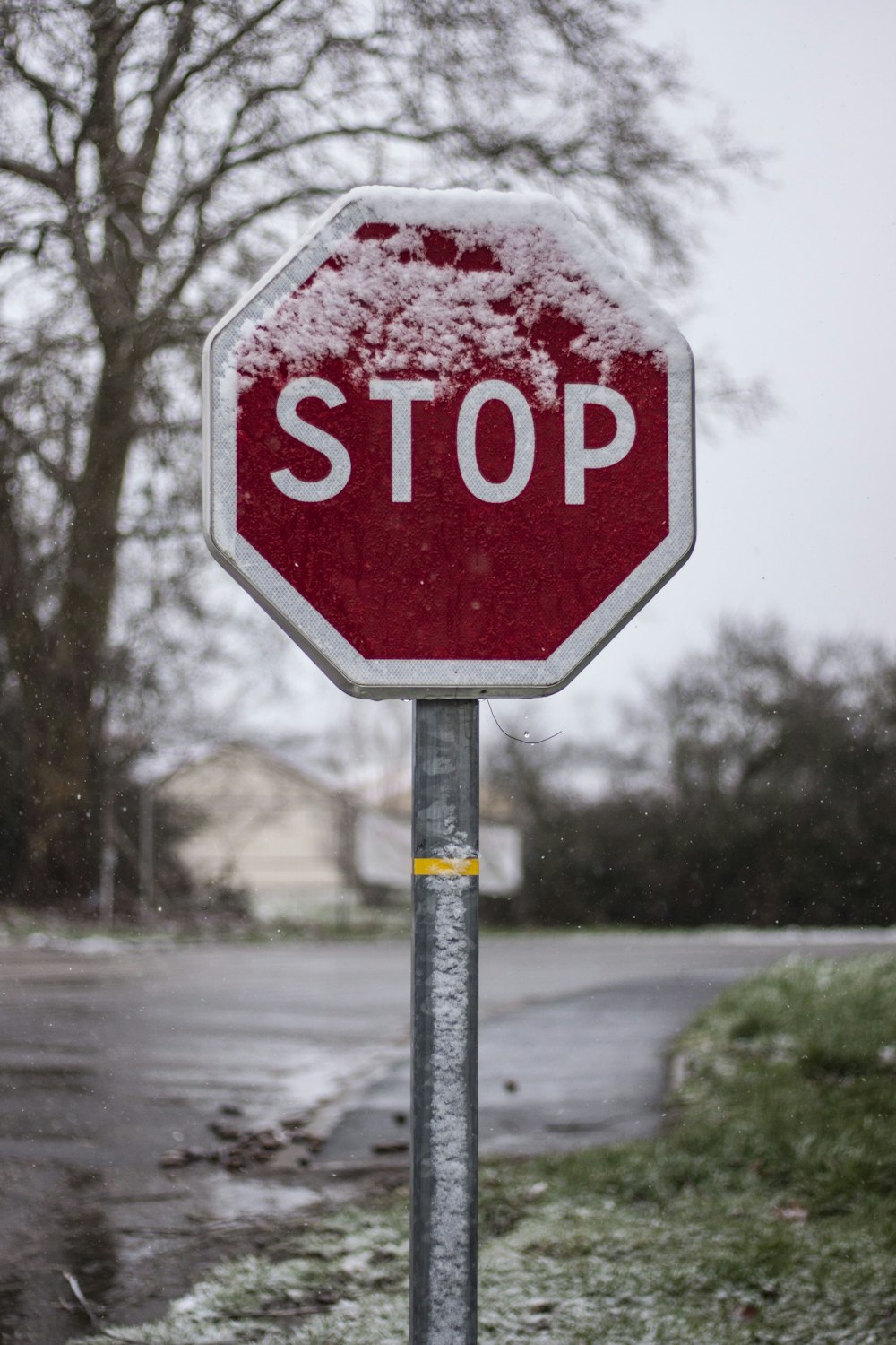 Segnale di stop rosso sulla strada