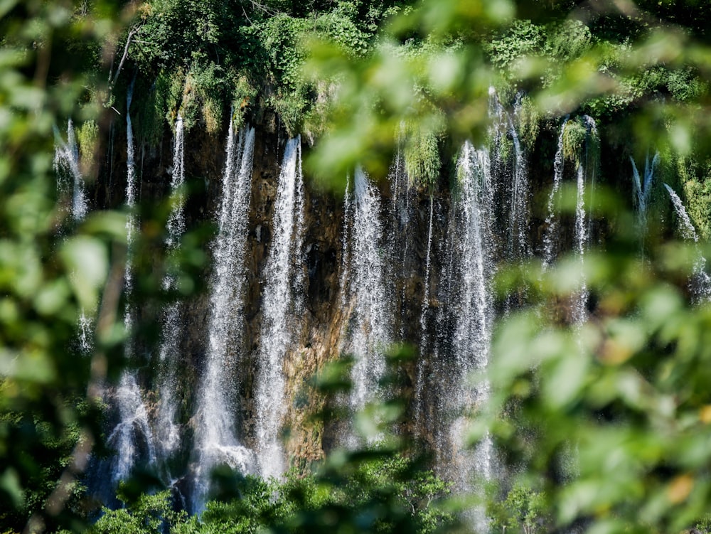 green trees and white water falls