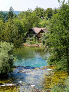 Cozy wooden homestay nestled beside a flowing mountain river in Himachal Pradesh.