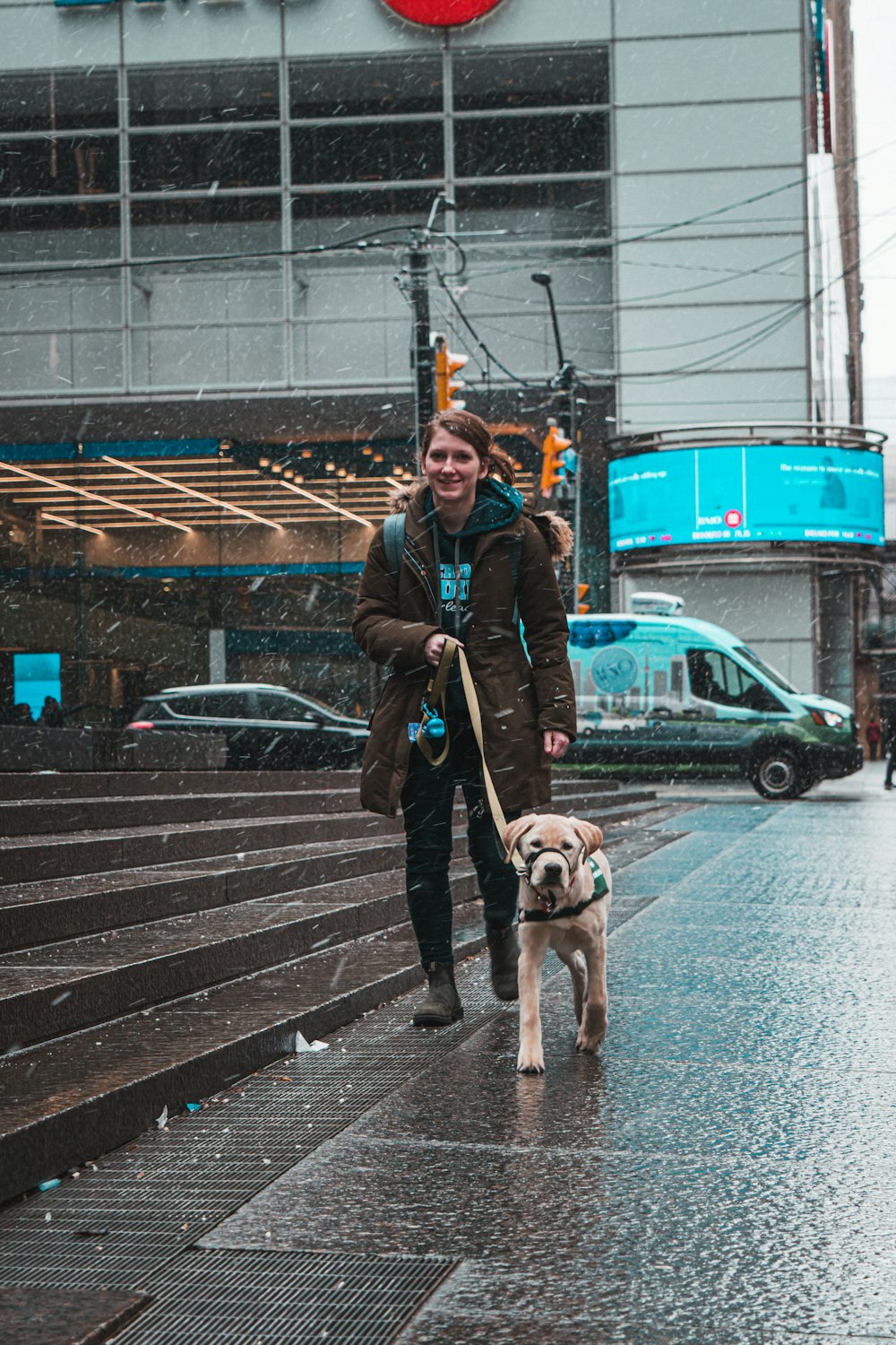 woman in brown jacket holding brown short coated dog on sidewalk during daytime
