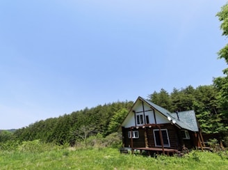 A small wooden cabin is nestled in a lush green field surrounded by dense forest. The sky is clear and blue, casting a serene and tranquil atmosphere. The cabin has a slanted roof, large windows, and a porch, blending harmoniously with the natural surroundings.